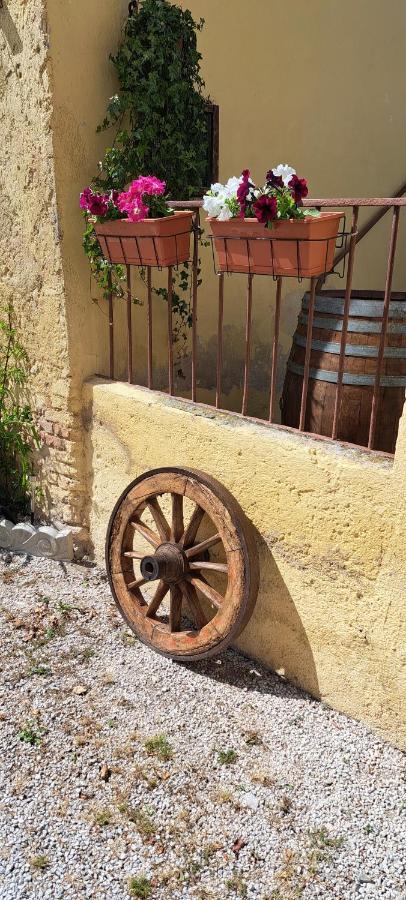 Agriturismo Il Casale Grande Guest House Beroide Exterior photo